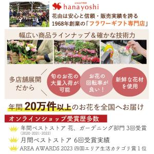 プランターが選べる 季節のおまかせ寄せ植えS ...の詳細画像2