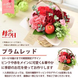 花 ギフト 誕生日 プレゼント 季節のおまかせ...の詳細画像5