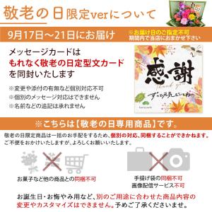 花 ギフト 誕生日 プレゼント 季節のおまかせ...の詳細画像3