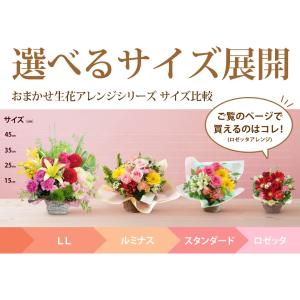 フラワーアレンジ 季節のおまかせ 生花 アレン...の詳細画像2