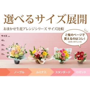 フラワーアレンジ 季節のおまかせ 生花 アレン...の詳細画像3