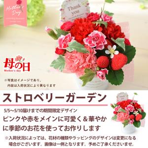フラワーアレンジ 季節のおまかせ 生花 アレン...の詳細画像5