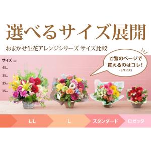 花 ギフト フラワーアレンジメント 季節のおま...の詳細画像3