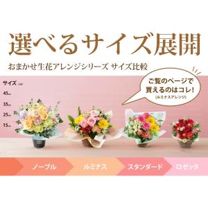花 ギフト フラワーアレンジメント 季節のおま...の詳細画像4