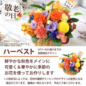 花 ギフト フラワーアレンジメント 季節のおま...の詳細画像5