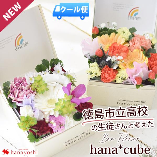 [冷蔵便]でお届け 徳島市立高校の生徒さんと考えた ボックスフラワー 生花 hana cube x ...