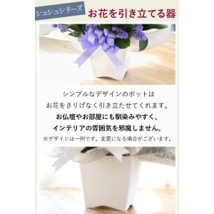 お供え 花 お悔やみ 仏花 生花 ユリなし 法...の詳細画像5