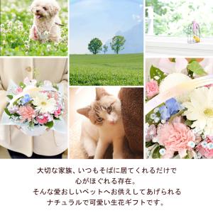 ペットに贈る お供え 生花アレンジメント 虹の...の詳細画像2