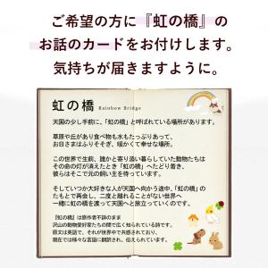 ペットに贈る お供え 生花アレンジメント 虹の...の詳細画像3