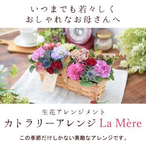 まだ間に合う ※一部地域を除く 母の日 202...の詳細画像1