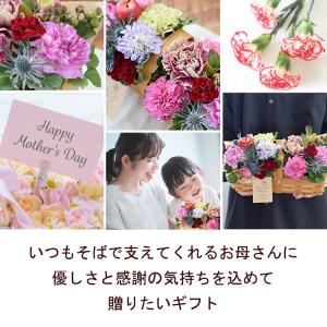 まだ間に合う ※一部地域を除く 母の日 202...の詳細画像2