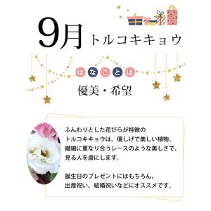 誕生日 プレゼント 花 誕生花 を 使った ア...の詳細画像5