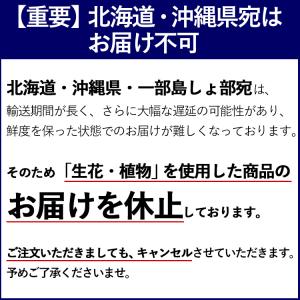 生花 カサブランカの花束 ラッピングが選べます...の詳細画像1