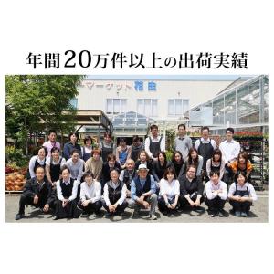 生花 カサブランカの花束 ラッピングが選べます...の詳細画像4