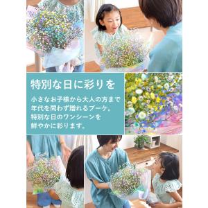 花束 かすみ草のブーケS カスミソウ カラフル...の詳細画像2