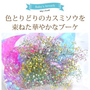 花束 かすみ草のブーケS カスミソウ カラフル...の詳細画像4