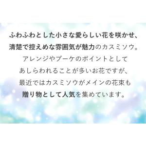 花束 かすみ草のブーケS カスミソウ カラフル...の詳細画像5