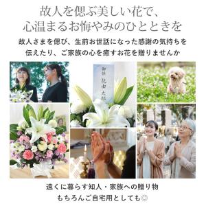 お供え 生花 アレンジメント Mサイズ 仏花 ...の詳細画像1