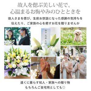 お供え 花 法事 お供え物 お悔やみ 贈り物 ...の詳細画像1