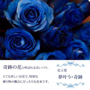 青バラとかすみ草の花束 10本以上〜40本まで...の詳細画像2