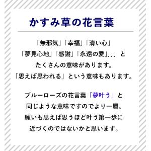 青バラとかすみ草の花束 10本以上〜40本まで...の詳細画像4