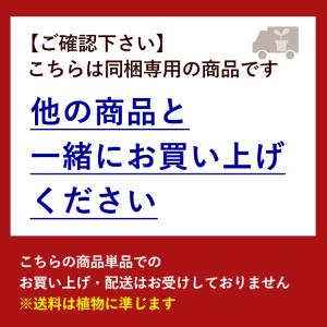 ※ハンドケアセットのみの購入はできません※【お...の詳細画像1