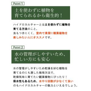 ハイドロカルチャー 植え込み材 植え替え用 資...の詳細画像1