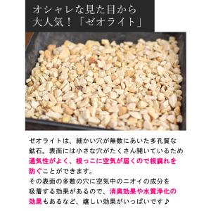 ハイドロカルチャー 植え込み材 植え替え用 資...の詳細画像3