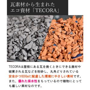 ハイドロカルチャー 植え込み材 植え替え用 資...の詳細画像5