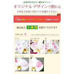 化粧蘭 ケショウラン コチョウラン 洋蘭<大輪...の詳細画像2