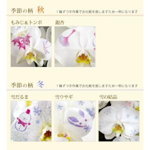 化粧蘭 ケショウラン コチョウラン 洋蘭<大輪...の詳細画像4