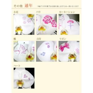 化粧蘭 ケショウラン コチョウラン 洋蘭<大輪...の詳細画像5