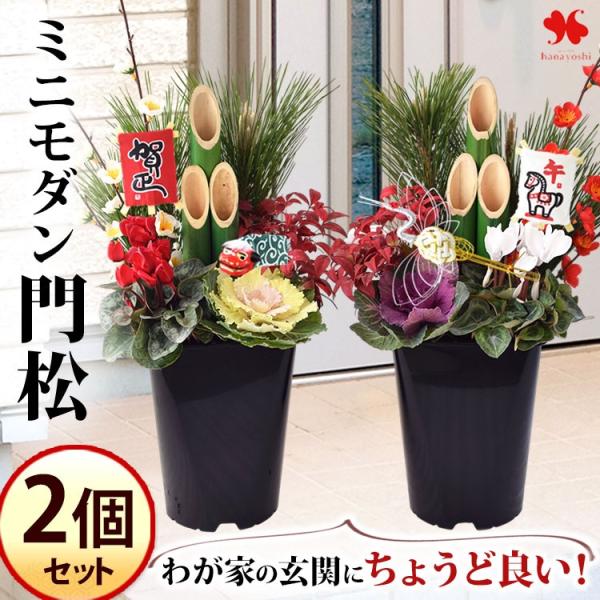門松 玄関 寄せ植え 送料無料 迎春 一対のミニモダン門松 2個セット 12/26〜12/30指定Ｏ...