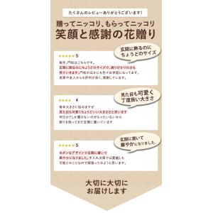 門松 玄関 寄せ植え 送料無料 迎春 一対のミ...の詳細画像3