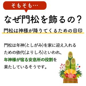 門松 玄関 寄せ植え 送料無料 迎春 一対のミ...の詳細画像2