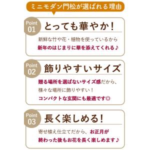 門松 玄関 寄せ植え 送料無料 迎春 一対のミ...の詳細画像4
