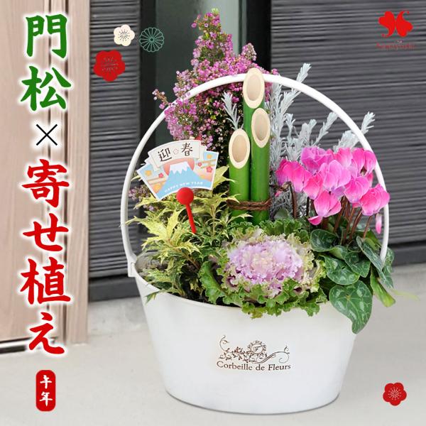 送料無料 お正月 門松 寄せ植え〜 夢匠花 冬色百彩 12/26〜12/30の間で指定ＯＫ！ お正月...