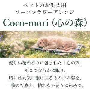 ペット お供え 花 ソープフラワー Coco-...の詳細画像2