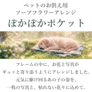 ペット お供え 花 ソープフラワー ぽかぽかポ...の詳細画像2