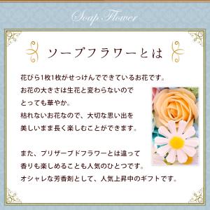 ペット お供え 花 ソープフラワー ぽかぽかポ...の詳細画像5