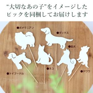 ペット お供え 花 ソープフラワー ぽかぽかポ...の詳細画像4