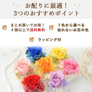 プリザーブドフラワー プチプリザ inキューブ...の詳細画像2