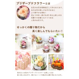 プリザーブドフラワー パレット ルヴェール ボ...の詳細画像4