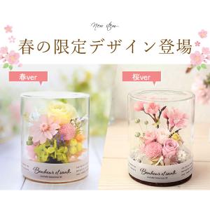 プリザーブドフラワー パレット ルヴェール ボ...の詳細画像1