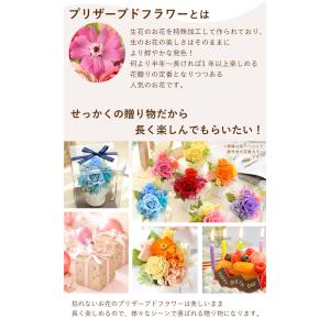 プリザーブドフラワー 枯れない 花 誕生日プレ...の詳細画像2
