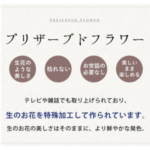 お供え お悔やみ プリザーブドフラワー 仏花 ...の詳細画像3