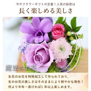 プリザーブドフラワー 花 誕生日 プレゼント ...の詳細画像3