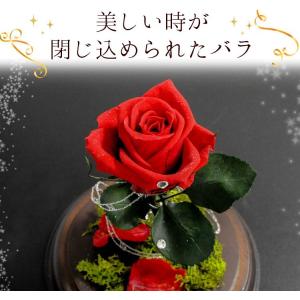 プリザーブドフラワー 1輪のバラ〜evermo...の詳細画像1
