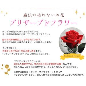 プリザーブドフラワー 1輪のバラ〜evermo...の詳細画像2