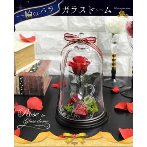プリザーブドフラワー 1輪のバラ〜evermo...の詳細画像4